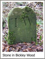 Stone in Bickley Wood